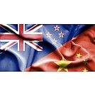 What 2020 looks like for Kiwi exporters in China 