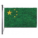 China “Going Green”